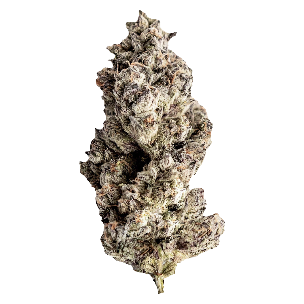 Red Velvet Ice Cream - Indica